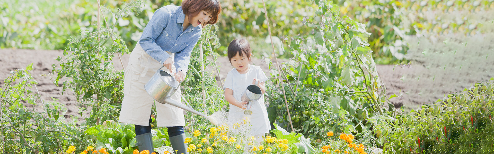 はるぞの生花